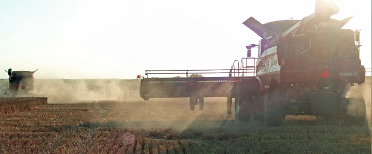 Paplow Harvesting and Trucking